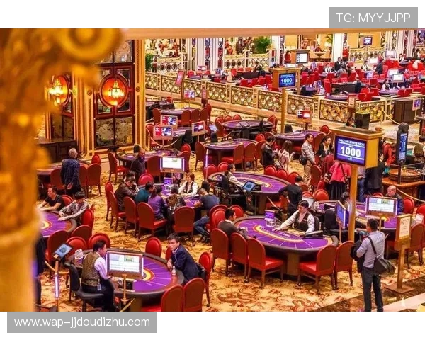 嘉华国际赌场：探索赌场的科技创新应用，带来更公平透明的游戏环境